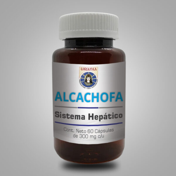 Alcachofa