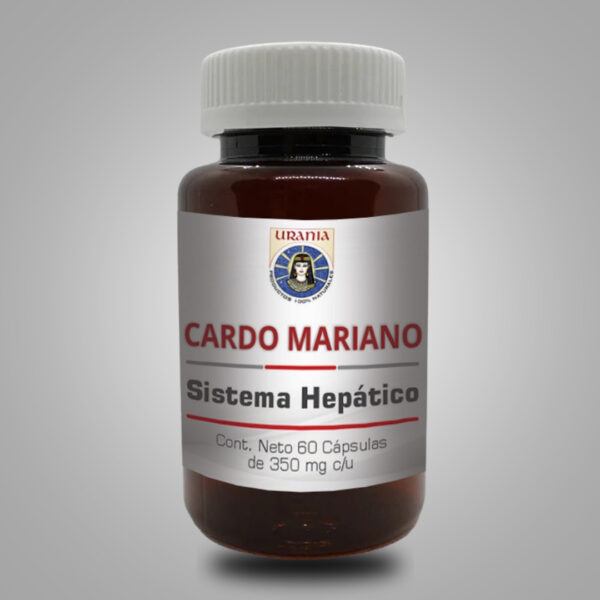 Cardo Mariano