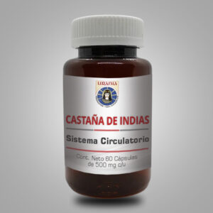 Castaña de Indias