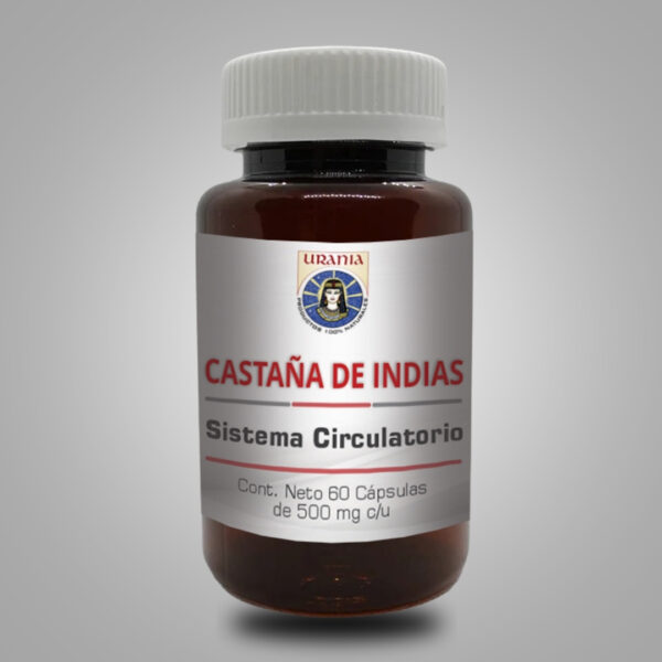 Castaña de Indias