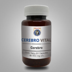 Cerebrovital