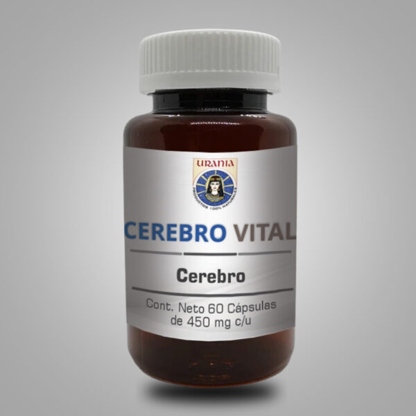 Cerebrovital