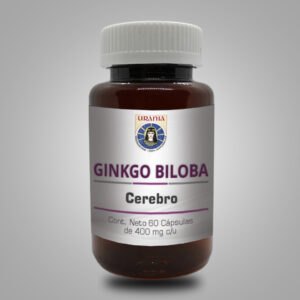 Ginkgo Biloba