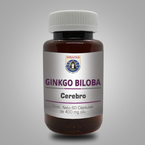 Ginkgo Biloba