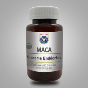 Maca