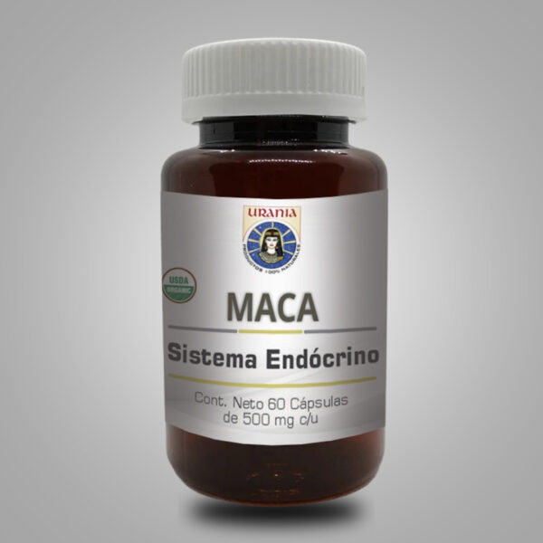 Maca