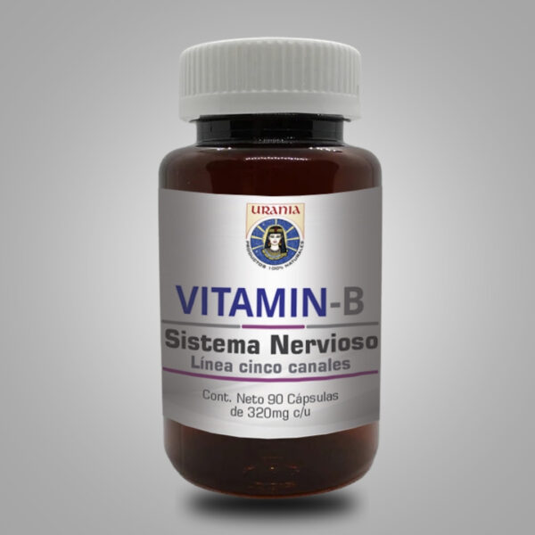 Vitamina B