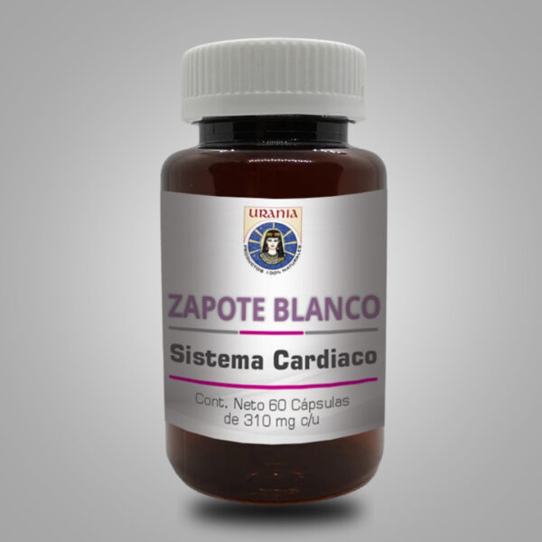 Zapote Blanco